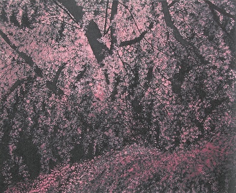 満開の瀧桜
