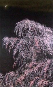 Cherry Blossoms under the Moon - HS Edition 