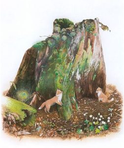 森のこどもたちと(46.0×34.0cm)