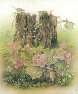 花まつり(35.6cm×30.0cm)
